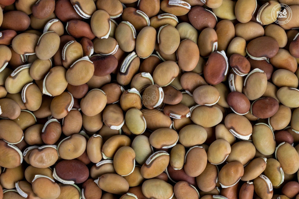 Bitter Field Beans